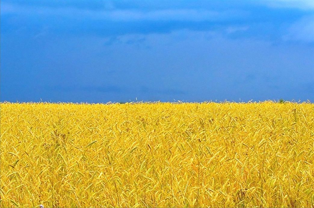 Запад не заинтересован в контроле над Украиной