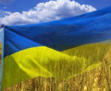 Українські перемоги 2017