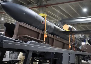 Україна почала виробництво далекобійних ракет FP-5 “Фламінго”