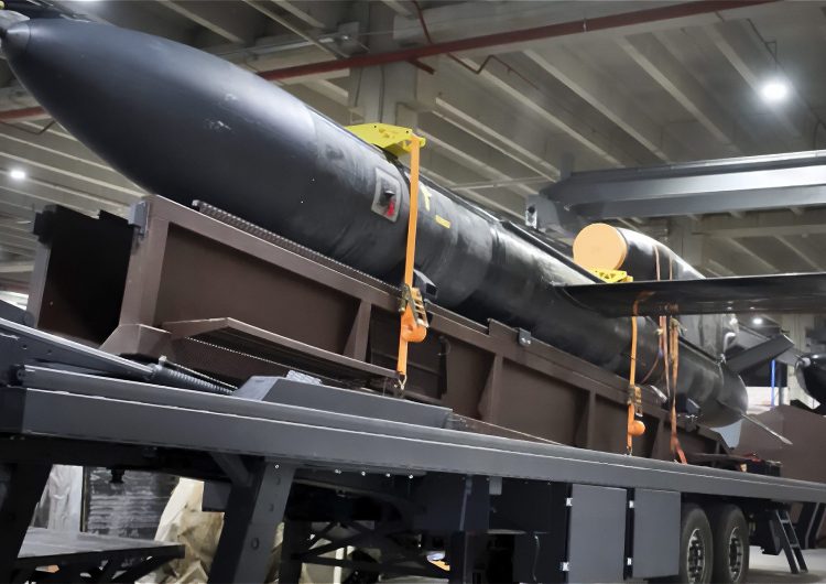 Україна почала виробництво далекобійних ракет FP-5 “Фламінго”